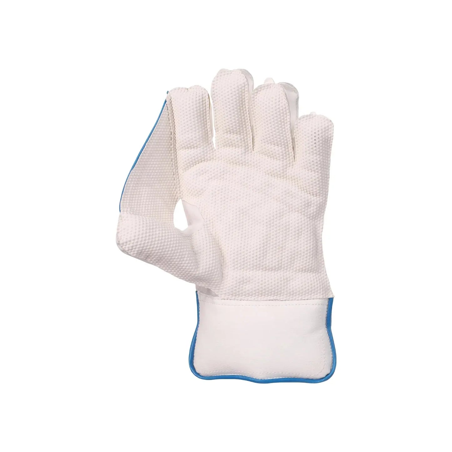 SG Tournament Wicket Keeping Gloves SG