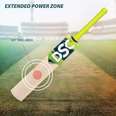 DSC TORMENT LE Cricket Bat (Incredible Willow) DSC