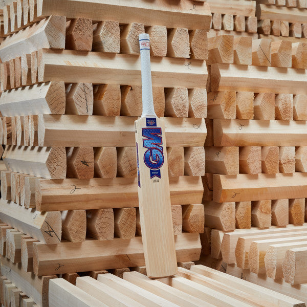 GM MANA 606 Cricket Bat - EW