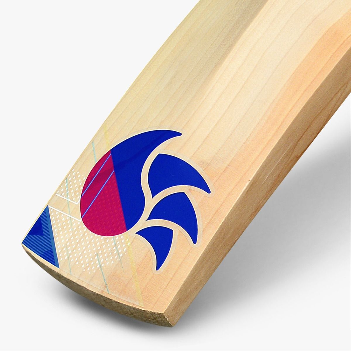 DSC Intense Ferocity Cricket Bat