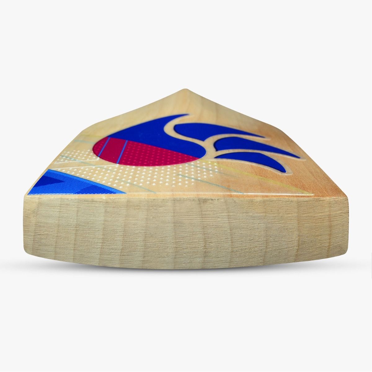 DSC Intense Ferocity Cricket Bat