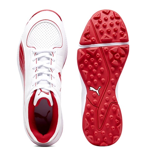 PUMA 24 FH Cricket Shoes