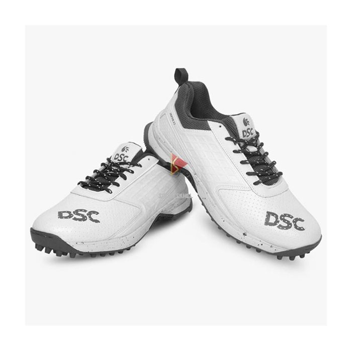 DSC Jaffa 22 studs DSC