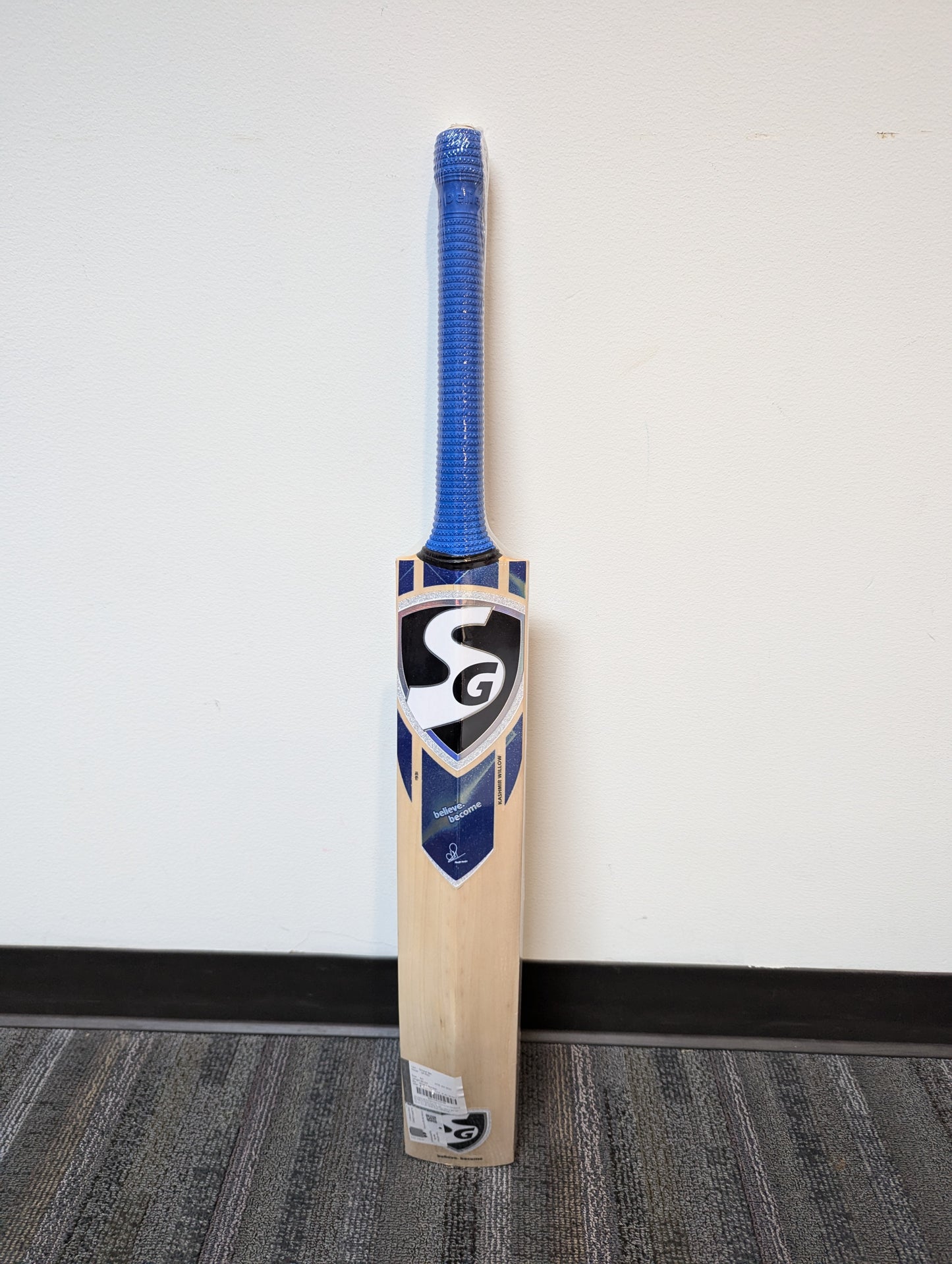 SG HP PRO - Kashmir willow cricket bat