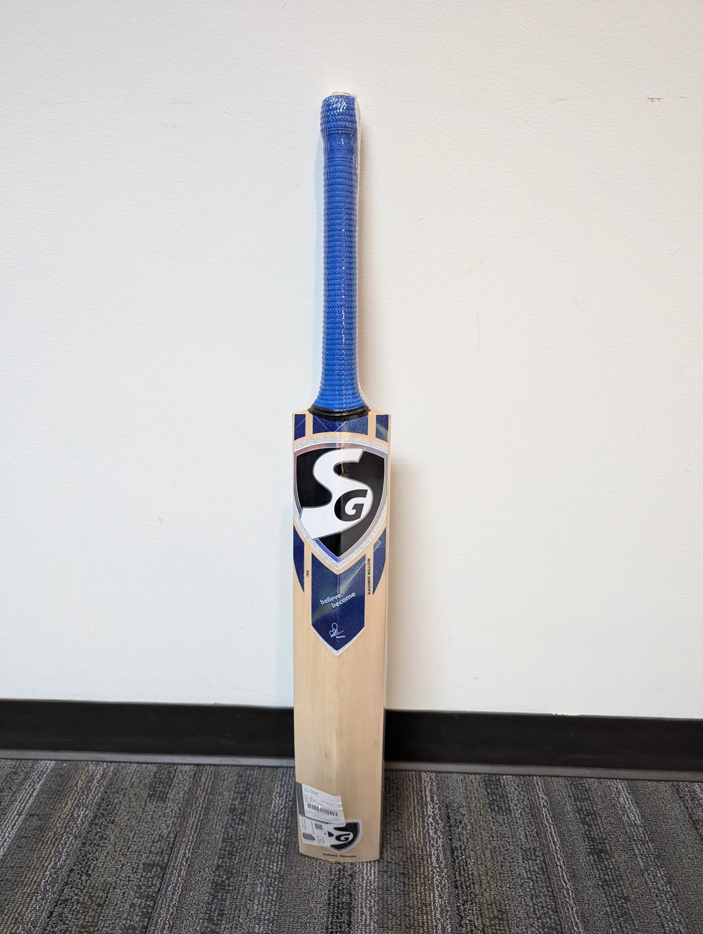 SG HP PRO - Kashmir willow cricket bat SG