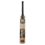 SS VA 900 Ruby Cricket Bat (Kashmir Willow)