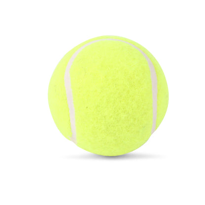 SG Endura Hard Tennis Ball
