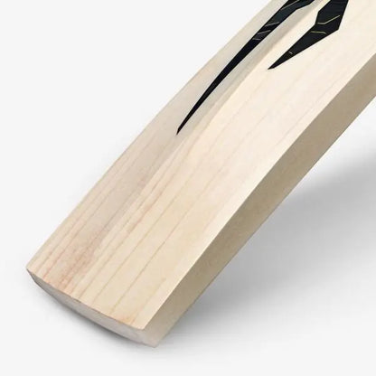 DSC Blak 350 Cricket Bat DSC