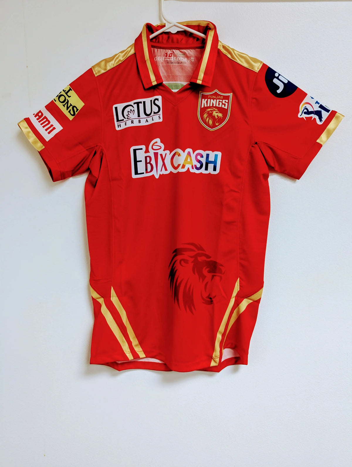 PBKS IPL Player Replica Jersey T10