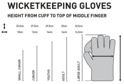 GM AION Wicket Keeping Gloves