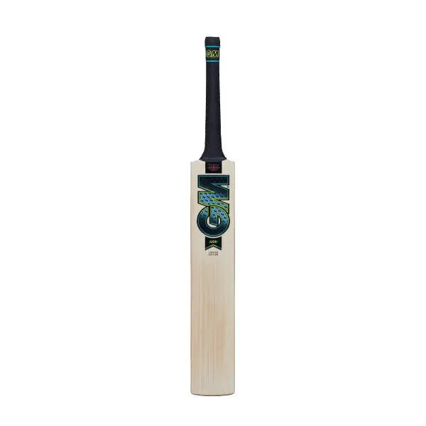 GM AION 404 Cricket Bat - EW GM