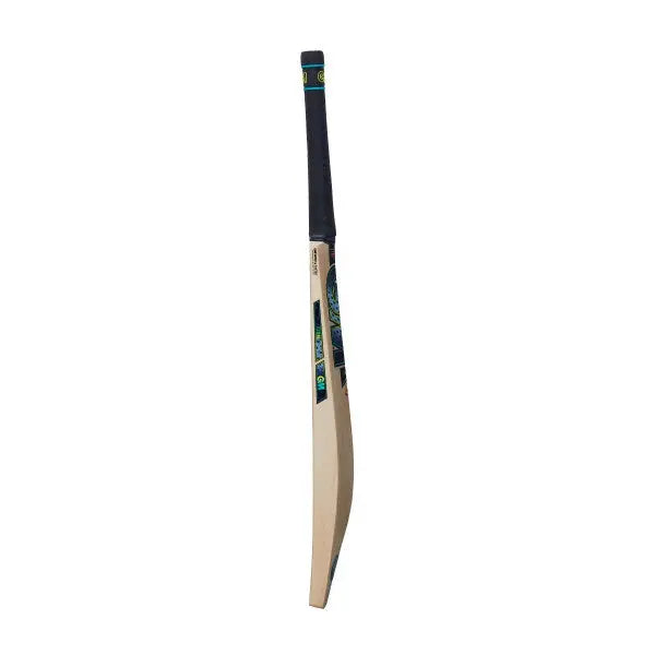 GM AION 404 Cricket Bat - EW GM