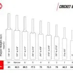 SS Ton Gutsy English Willow Bat SS