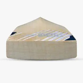 DSC BLAK 200 Cricket Bat DSC