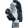 Gray Nicolls Gold Edition Batting Gloves Gray Nicolls