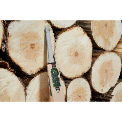 GM Saim Ayub Player's Edition Cricket Bat - EW