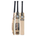 SS VA 900 Ruby Cricket Bat (Kashmir Willow)