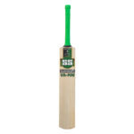 SS VA 900 Solitaire Cricket Bat (Kashmir Willow)